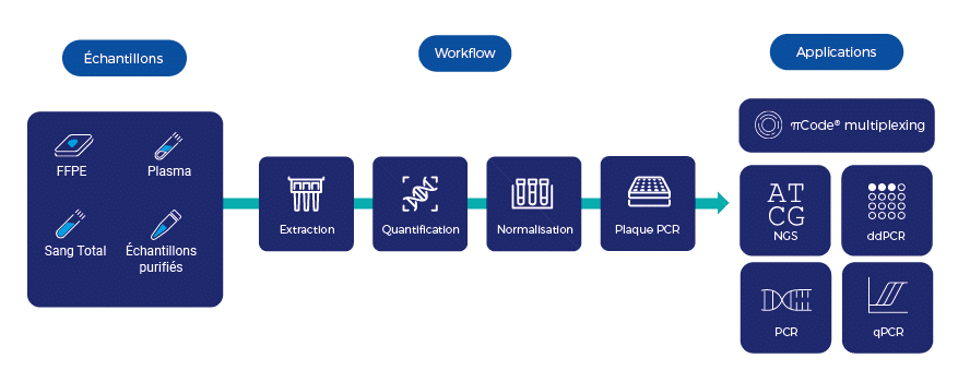 Workflow Overview